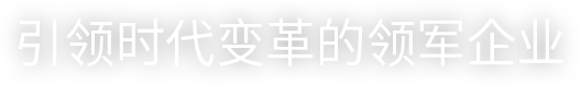 引领时代变革的领军企业